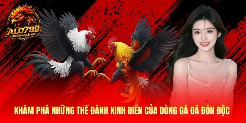 Khám phá những thế đánh kinh điển của dòng gà đá đòn độc 